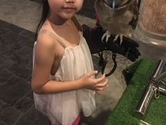 -清迈夜间动物园