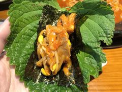 -红辣椒八爪鱼特色韩国料理