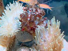 -太平洋海底世界