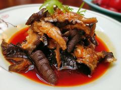 去骨乌鸡凤爪-赵小姐丨新中餐(曲江店)