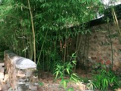 -红楼梦邮局