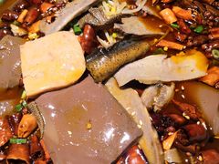 -陈麻婆豆腐总店
