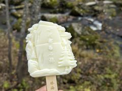 -汤旺河林海奇石景区
