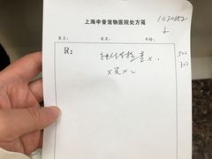 -申普宠物医院·心脏介入·心血管微创(总院)