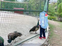-宁波九龙湖开元度假村