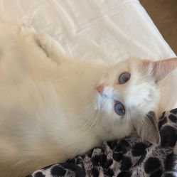 -元一肌肤管理中心