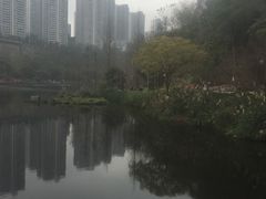 -重庆彩云湖湿地公园