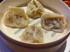 羊肉薄皮包-胖老汉椒麻鸡清真新疆菜(西御街店)