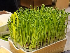 -海底捞火锅(太阳宫凯德mall店)
