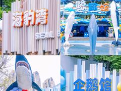 -海合安成都极地海洋公园
