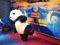 -成都浩海立方海洋公园