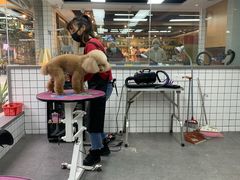 -贝贝宠物乐园(常青花园店)