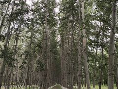 -东郊湿地公园
