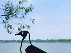 -野鸭湖国家湿地公园