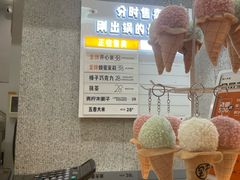 -野人先生现做冰淇淋(北京环宇荟店)
