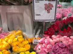 -盒马X会员店(上海森兰商都店)