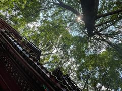 -青城山