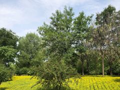 -野鸭湖国家湿地公园