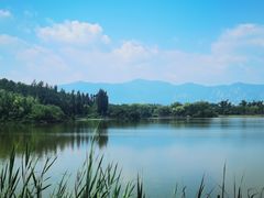 -翠湖国家城市湿地公园