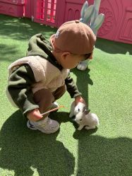 -萌宠亲子动物乐园(槐房万达店)