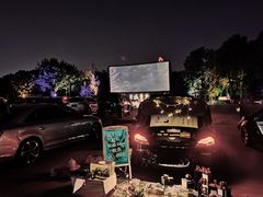 -枫花园汽车电影院(朝阳公园店)