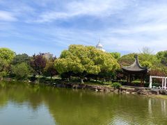 -范蠡湖公园