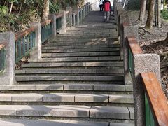-金盆阿嬷香菇茶叶蛋(玄光店)