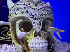 -上海海昌海洋公园