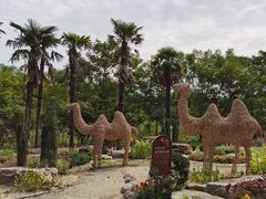-东平国家森林公园