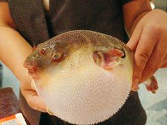 -永安鱼庄·镇江菜(东吴路店)