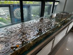 -威海蓝海御华大饭店·蓝钻美食自助百汇