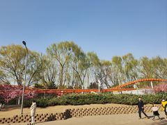 -朝阳公园游乐园