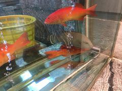 水产区-海逸海鲜酒家(古北店)