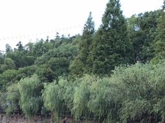 -石燕湖生态旅游景区