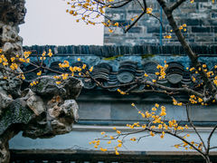 -个园