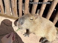 -昆明青龙峡风景区