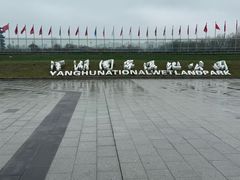 -洋湖国家湿地公园
