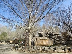 -尚庄度假村·庭台树下·户外烧烤·团建CS·轰趴营地(上庄水库店)