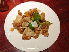 -邵年鸽(杨庄店)