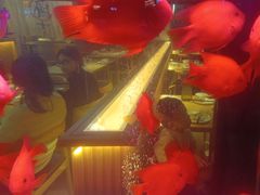 -五丁桥光头香辣蟹(望江橡树林店)