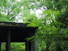 -虎跑公园
