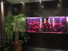 -大唐盲人按摩中心(黄山路店)