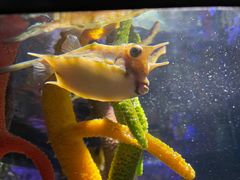 -沈阳海洋探索中心