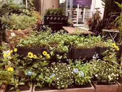 -艾加柒克蛋糕茶歇甜品台(春熙路店)