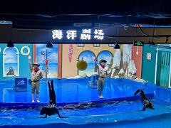 -重庆欢乐海底世界