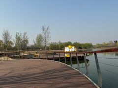 -东郊湿地公园