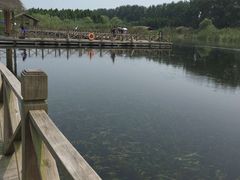 -溱湖国家湿地公园