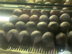 -油梨树 AVOCADO TREE(亮马桥店)