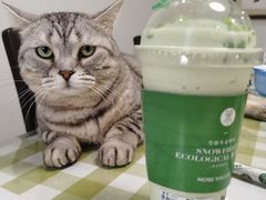 -天宠宠物医院24小时·急重症诊疗中心·全科·腔镜特色(和平分院)