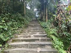 -峨眉山风景名胜区